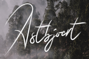 Astbjoert: The Brush Font for Bold Marketing