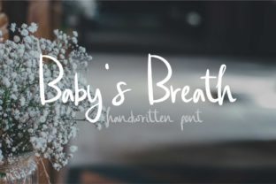Baby s Breath: A Designer’s Honest Review