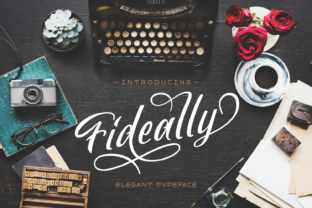 Fideally Typeface Review for Campaign Design