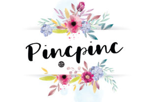 Pincpinc Review: A Designer’s Take on Script Amp
