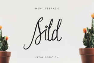 Sild: The Handwritten Font That Elevates Brand Identity