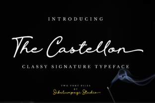 The Castellon: A Premium Script Font for Web Design